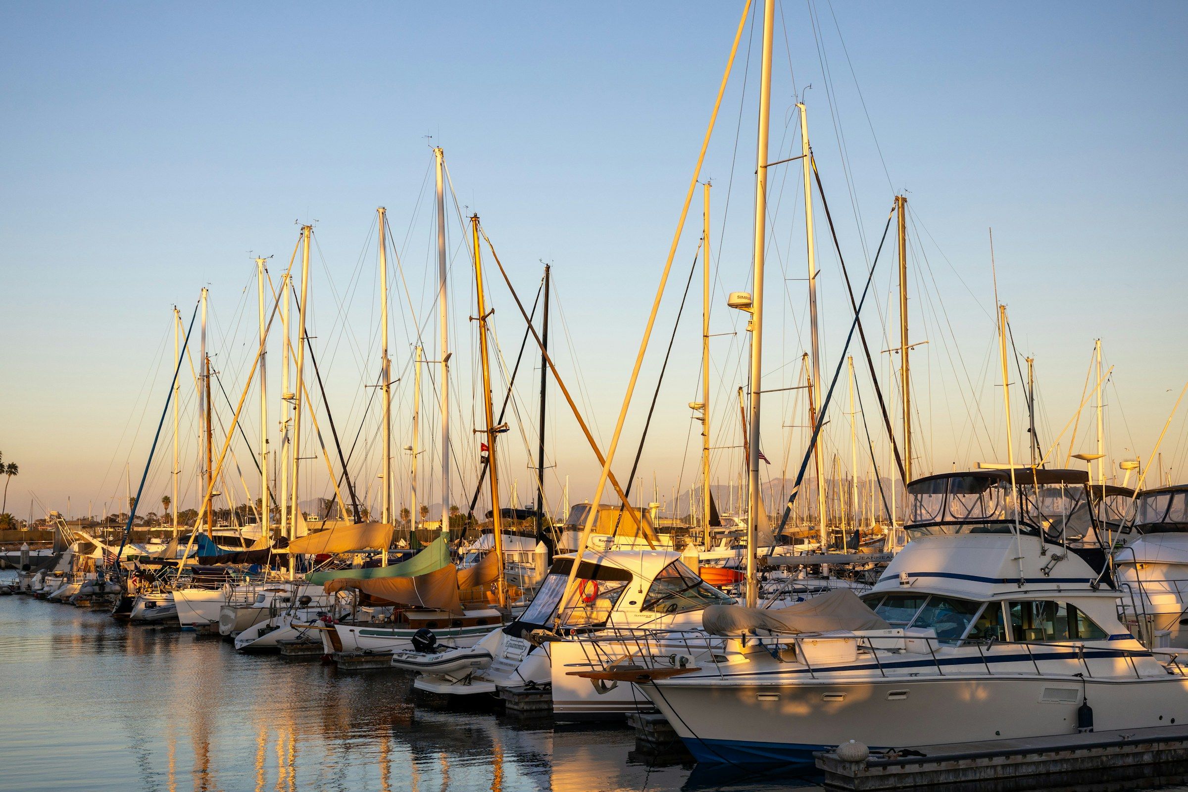 Boats at a waterfront marina