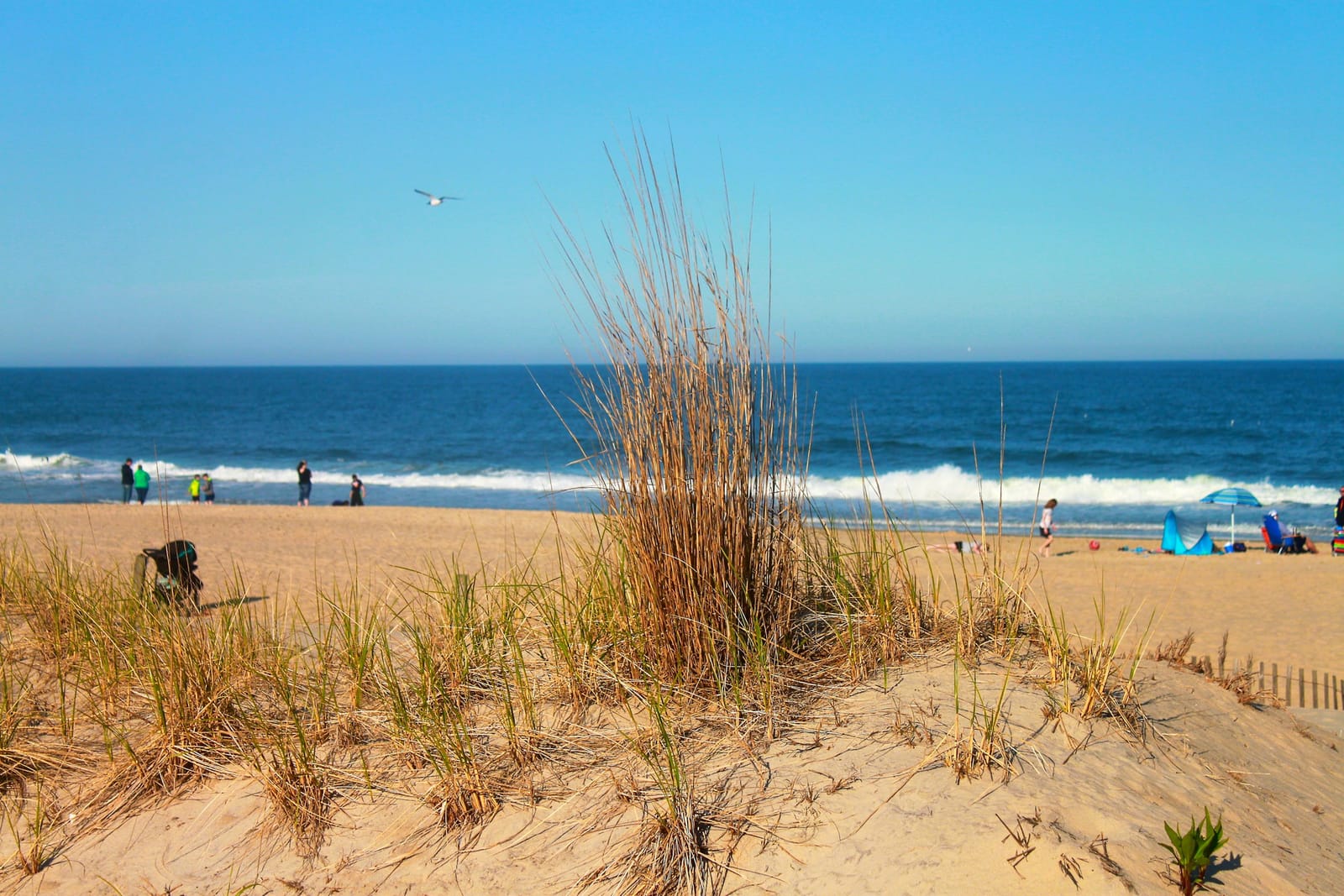 The beach at Hilton Head Island on a clear day, wide and quiet in the shoulder season